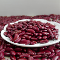 tipos de crescimento natural Origem do feijão vermelho pequeno da China
